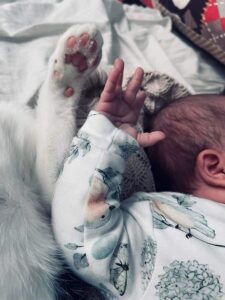 Kotek z niemowlęciem