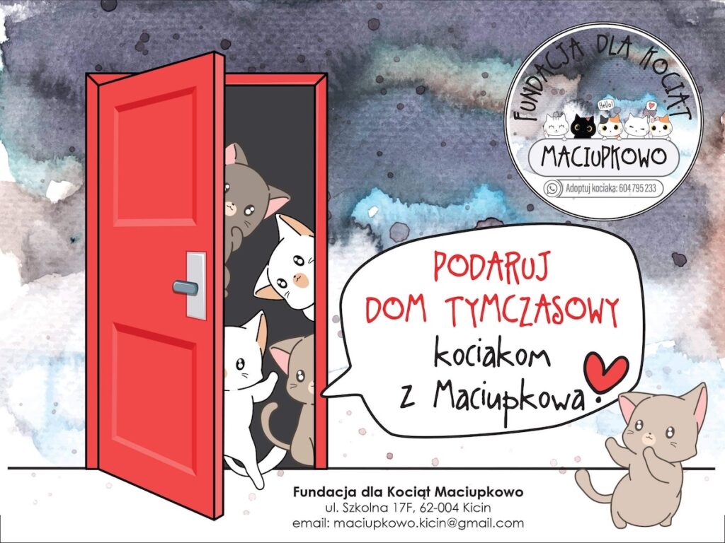 Domy tymczasowe ulotka